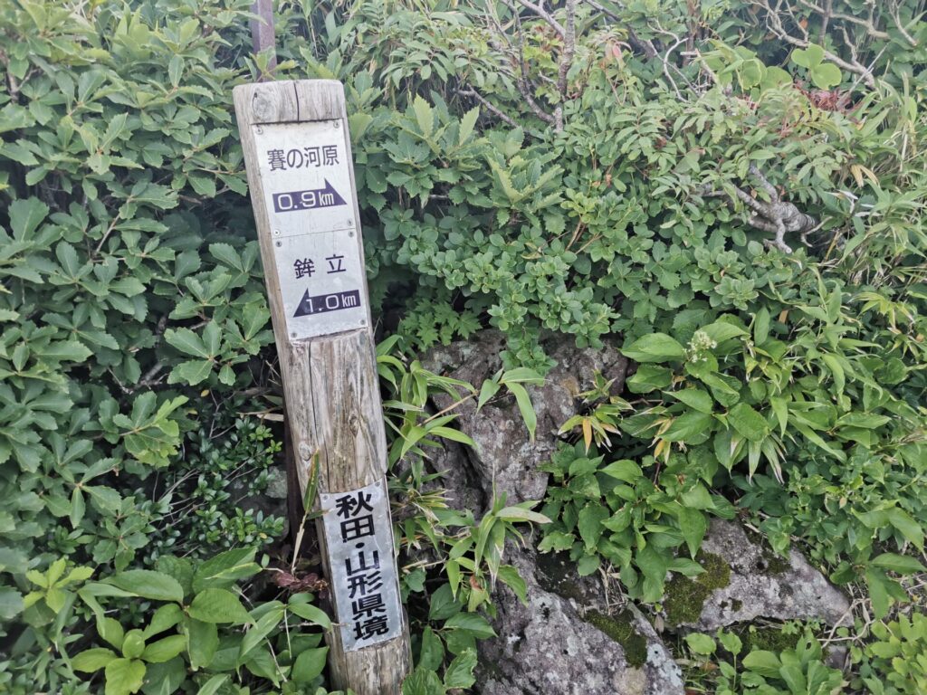 道標