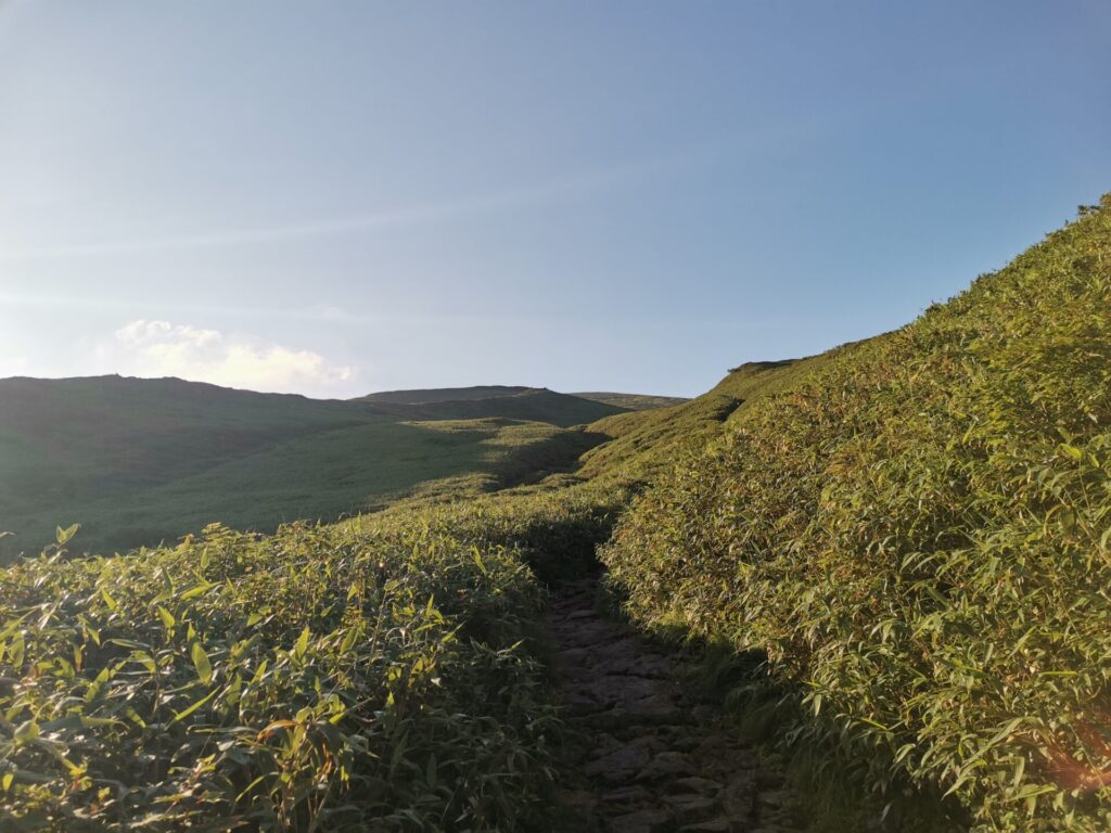 登山道