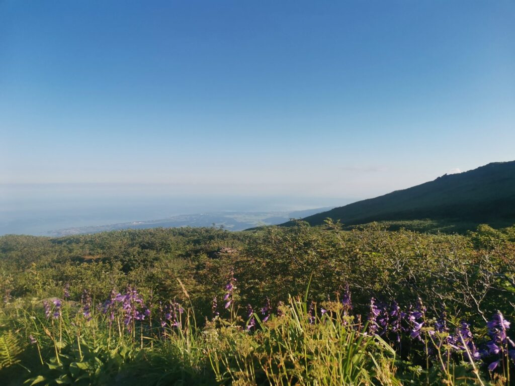 鳥海山 花の百名山