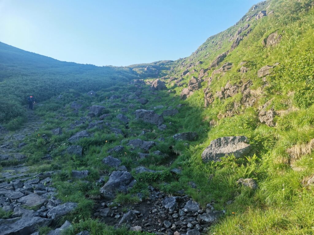 鳥海山 花