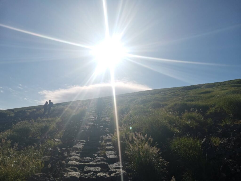 登山道