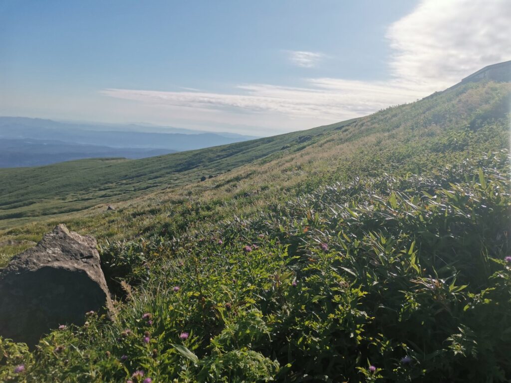 山