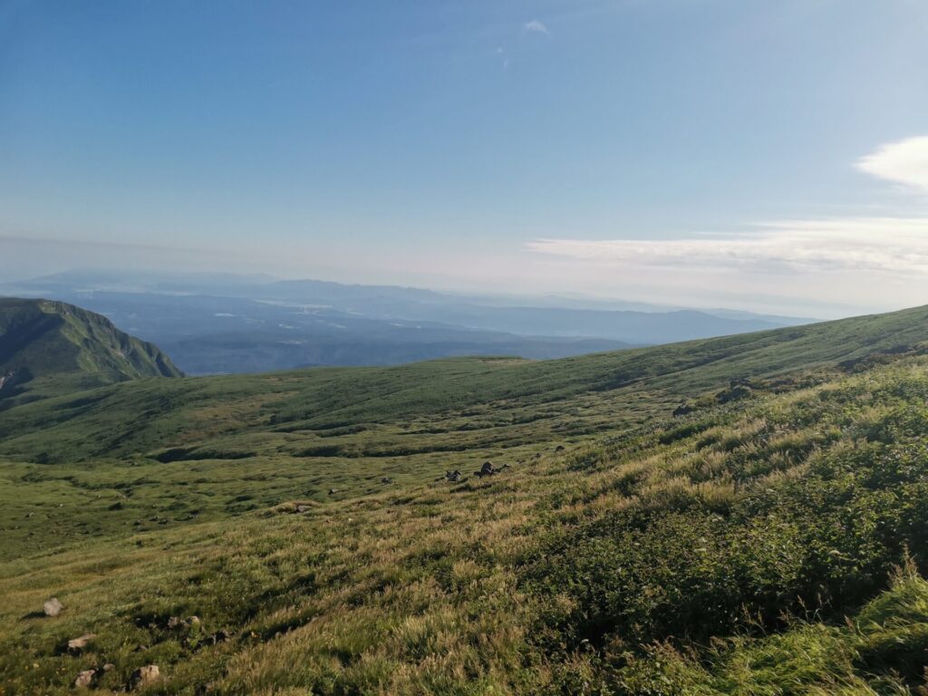 山